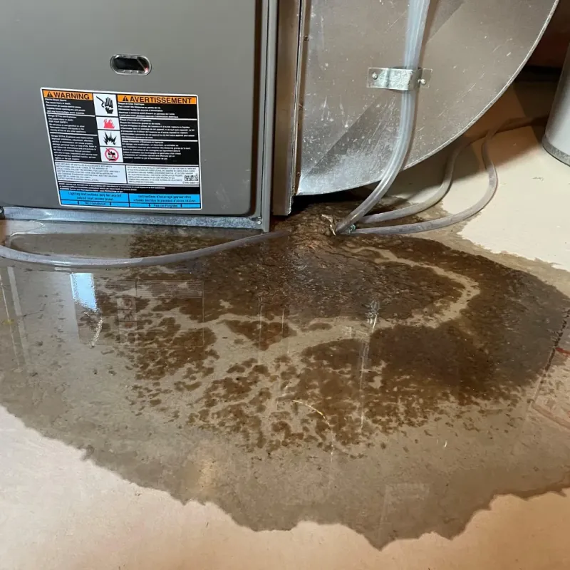 Appliance Leak Cleanup in Urbana, OH